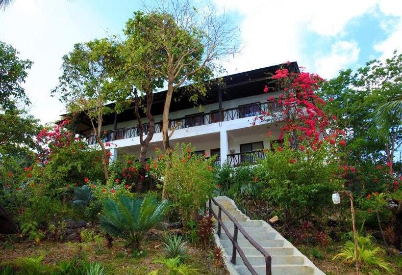 스탠다드 룸, Discovery Island Resort