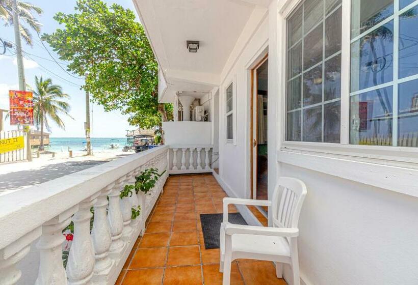 エコノミールーム, Blue Tang Inn