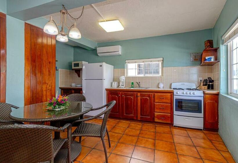 エコノミールーム, Blue Tang Inn