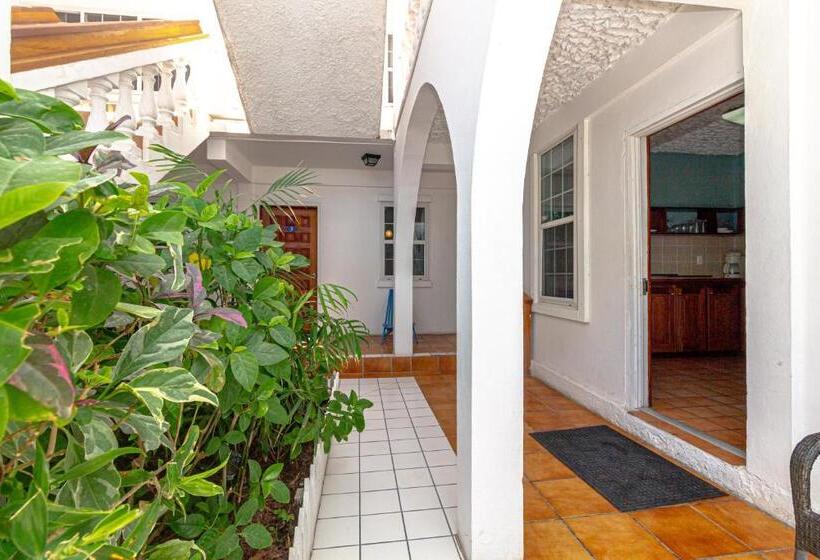 キングサイズベッドのスイートルーム, Blue Tang Inn