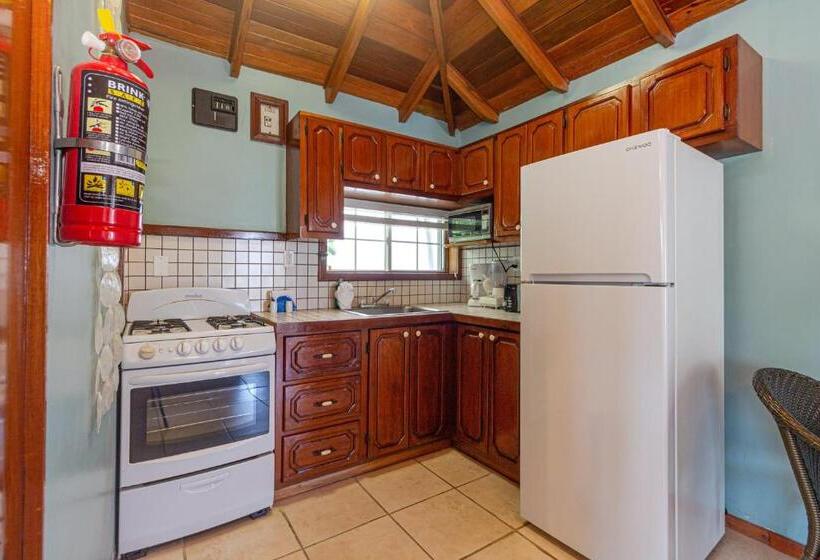 スイート, Blue Tang Inn