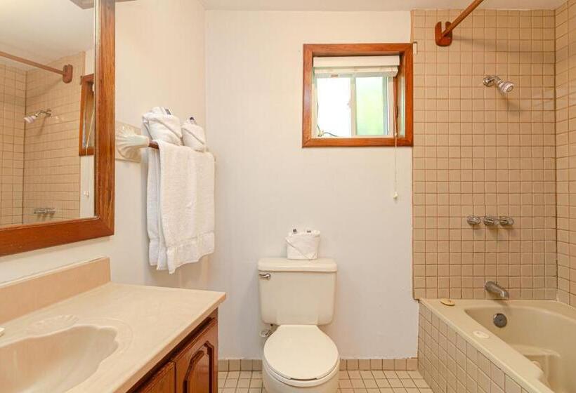 スイート, Blue Tang Inn