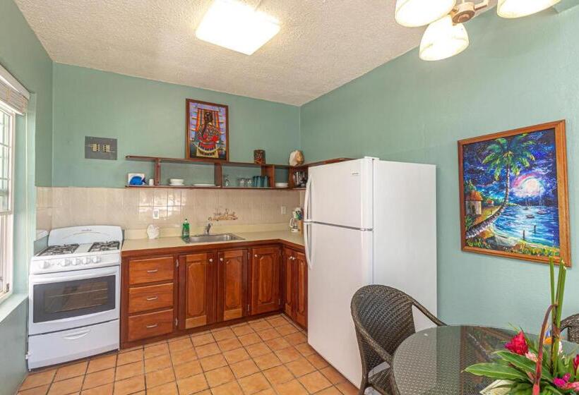 キングサイズベッドのスタンダードルーム, Blue Tang Inn