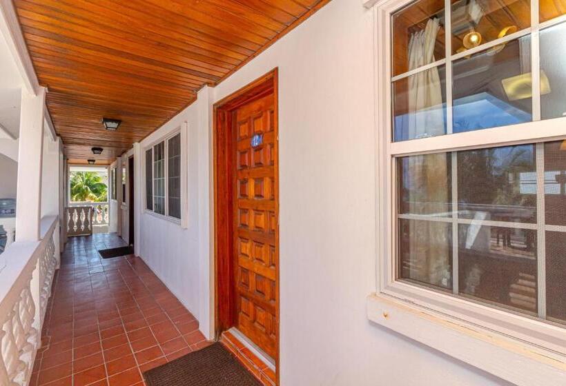 スーペリアールーム, Blue Tang Inn