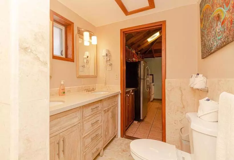スーペリアールーム, Blue Tang Inn