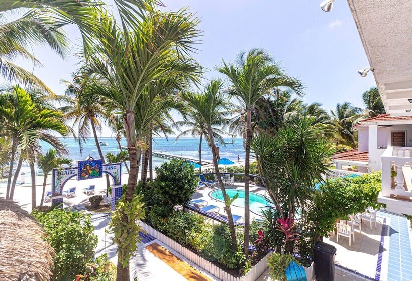 キングサイズベッドのスイートルーム, Blue Tang Inn