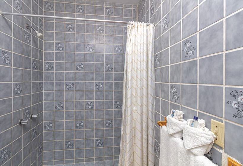 キングサイズベッドのスイートルーム, Blue Tang Inn