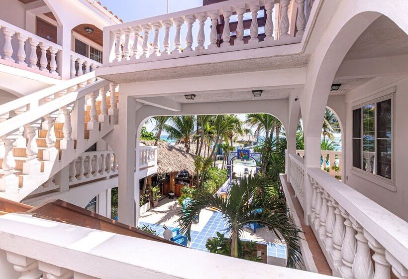 ガーデンビュースイート, Blue Tang Inn