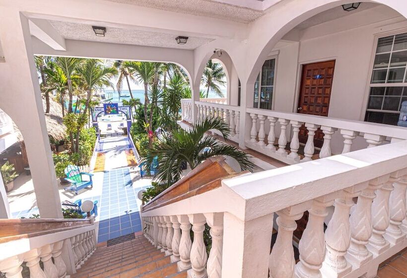 ガーデンビュースイート, Blue Tang Inn