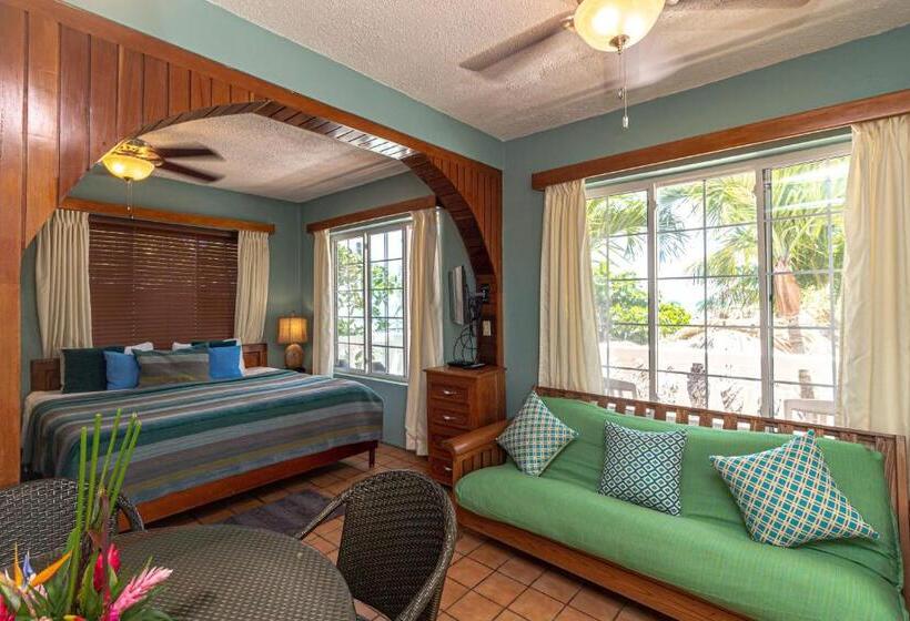 キングサイズベッドのスタンダードルーム, Blue Tang Inn