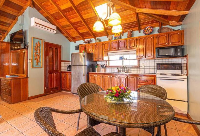 スーペリアールーム, Blue Tang Inn