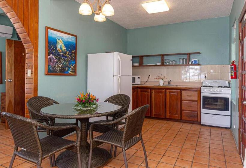 キングサイズベッドのスイートルーム, Blue Tang Inn