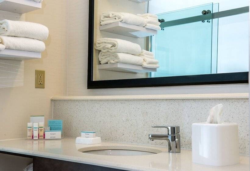 适合残疾人士使用的带超级大床的标准间, Hampton Inn & Suites New Albany Columbus