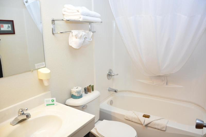 غرفة قياسية فردية, Roosevelt Inn & Suites