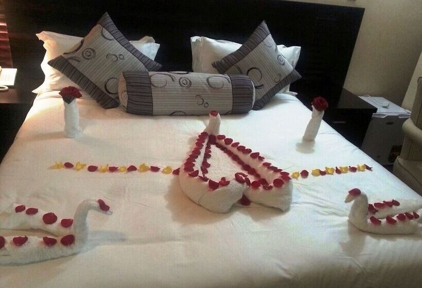 اتاق لوکس با چشمانداز شهر, Southern Addis