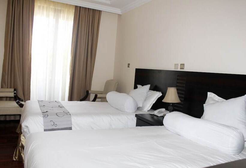 اتاق لوکس با چشمانداز شهر, Southern Addis