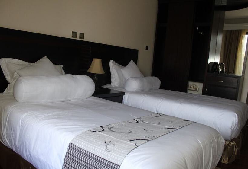 اتاق لوکس با چشمانداز شهر, Southern Addis