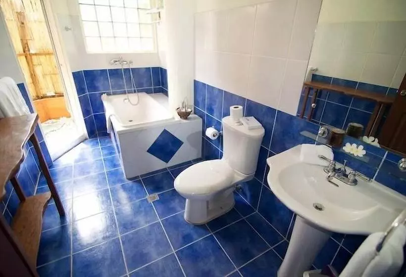 ویلای 1 خوابه, Hoyohoy Villas
