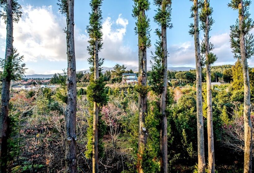 غرفة بريميوم, Donnaekohill Resort