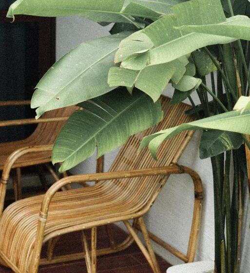 Люкс, El Nido Bayview Resort