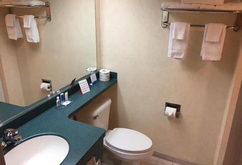 스탠다드 룸 킹사이즈 침대, Rodeway Inn & Suites