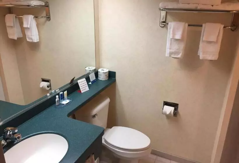 キングサイズベッドのスタンダードルーム, Rodeway Inn & Suites