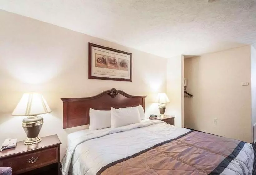 キングサイズベッドのスタンダードルーム, Rodeway Inn & Suites
