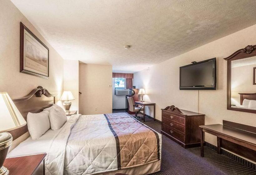 스탠다드 룸 킹사이즈 침대, Rodeway Inn & Suites