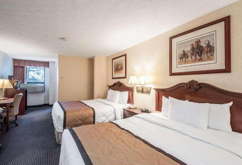 스탠다드 룸, Rodeway Inn & Suites