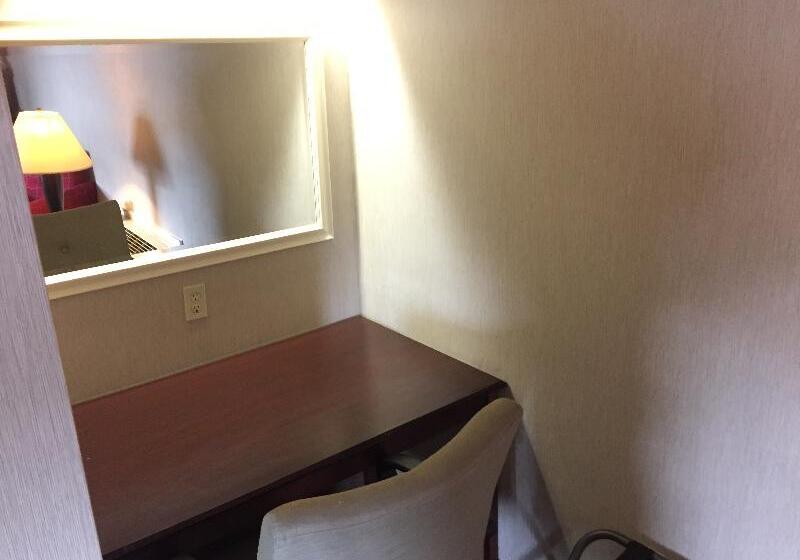 스탠다드 룸 킹사이즈 침대, Rodeway Inn & Suites