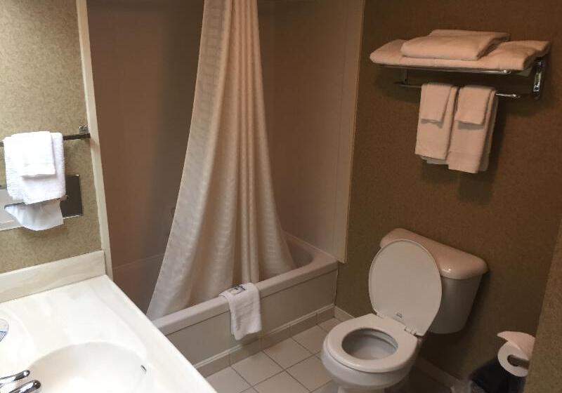 스탠다드 룸 킹사이즈 침대, Rodeway Inn & Suites