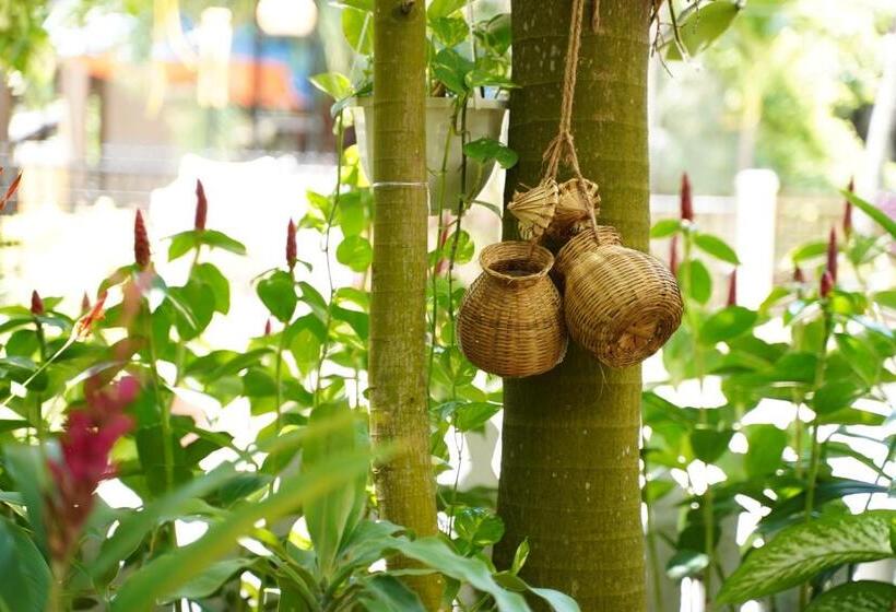اتاق لوکس با بالکن, Longan Homestay