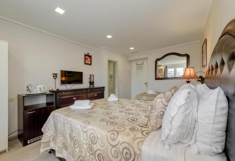 Deluxerum Stadsutsikt, Metropole Luxury Rooms