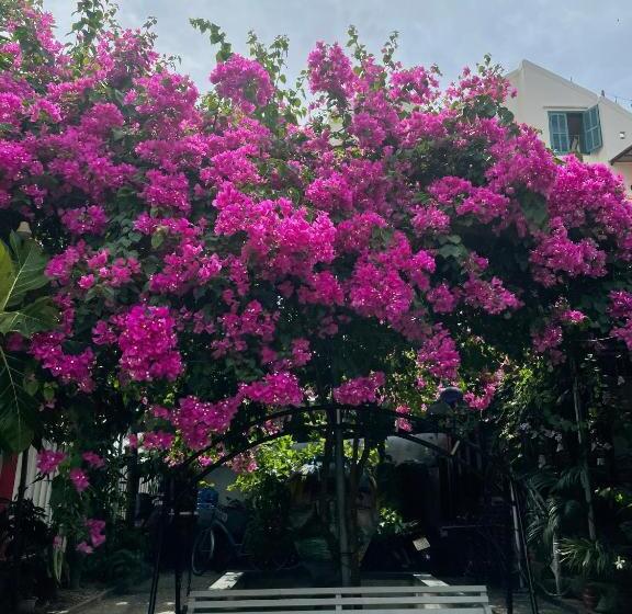 اتاق استاندارد با تخت بزرگ, Red House Homestay   Villa