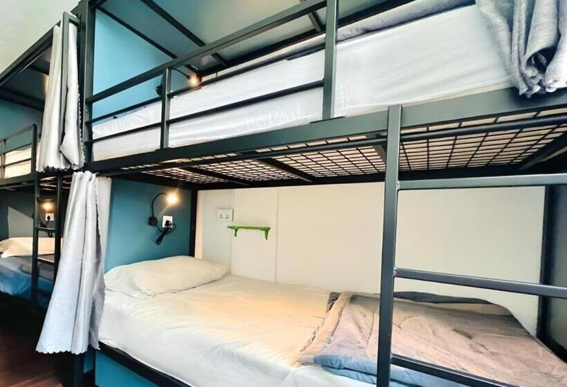 اتاق خانوادگی, Beary Best! Hostel Chinatown