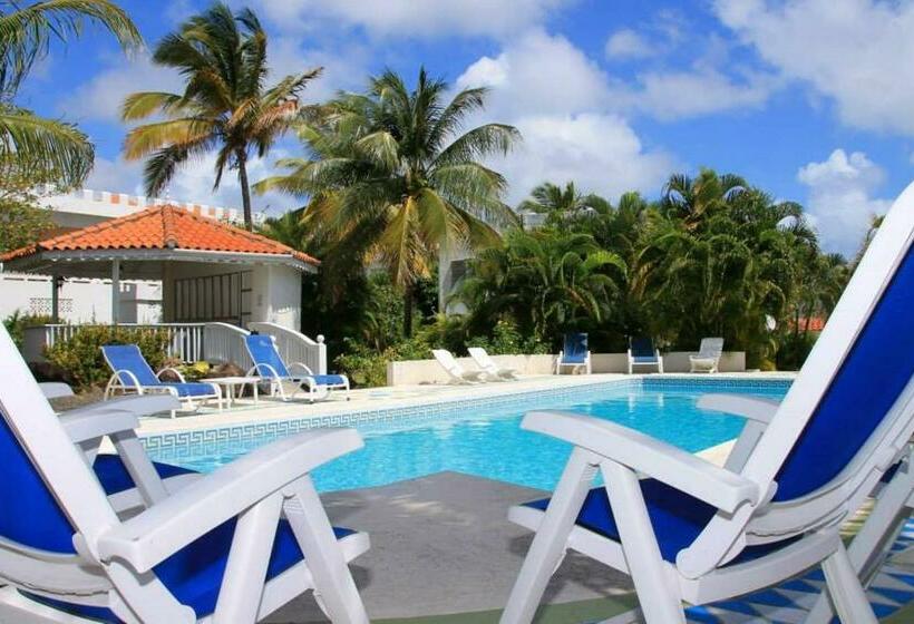 ویلای 2 خوابه, Castles In Paradise Villa Resort