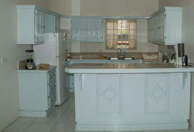 ویلای 2 خوابه, Castles In Paradise Villa Resort