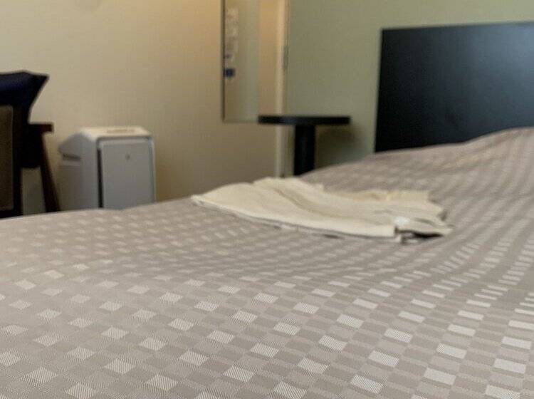 Premium Kamer, Urbain Hiroshima Central
