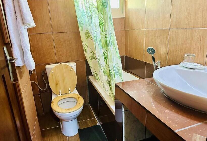 اتاق استاندارد, Yaahot