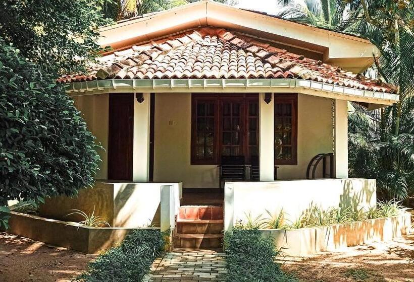 小室, Lagoon Paradise Beach Resort