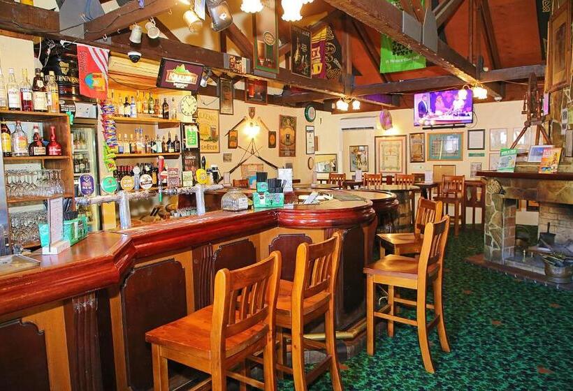 غرفة قياسية, Darcy Arms Hotel Motel