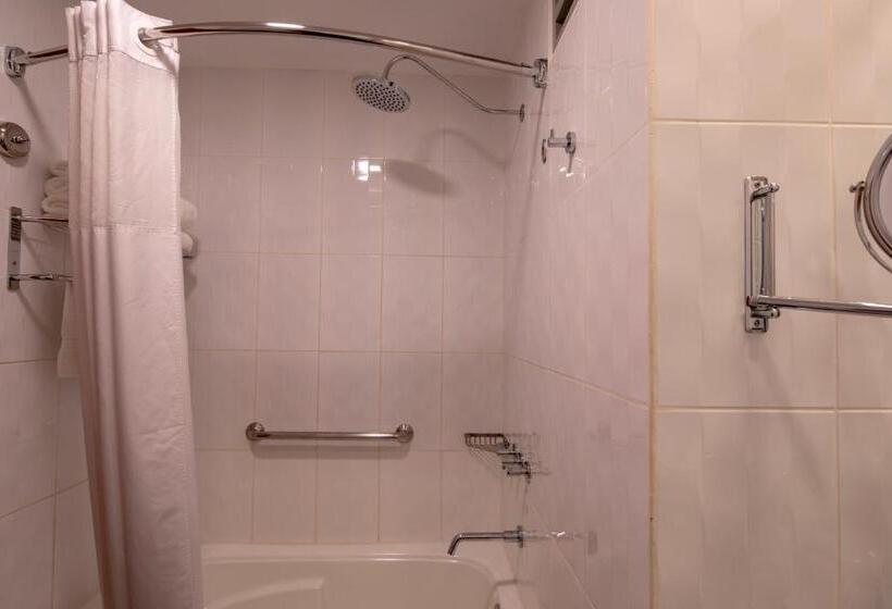 اتاق سوپریور, Casa Andina Select Pucallpa