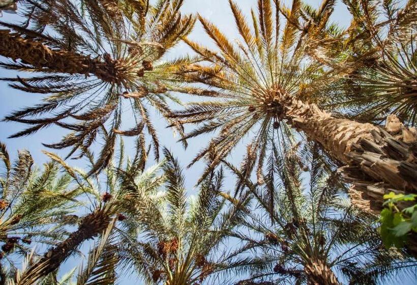 اتاق استاندارد با چشم‌انداز باغ, Riad Soleil Du Monde