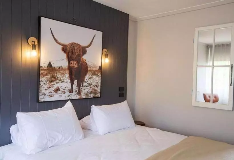 キングサイズベッドのスーペリアルーム, City Centre Motel Armidale