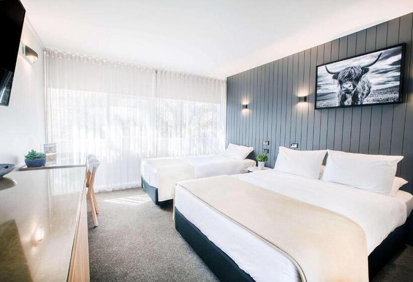 اتاق سوپریور, City Centre Motel Armidale