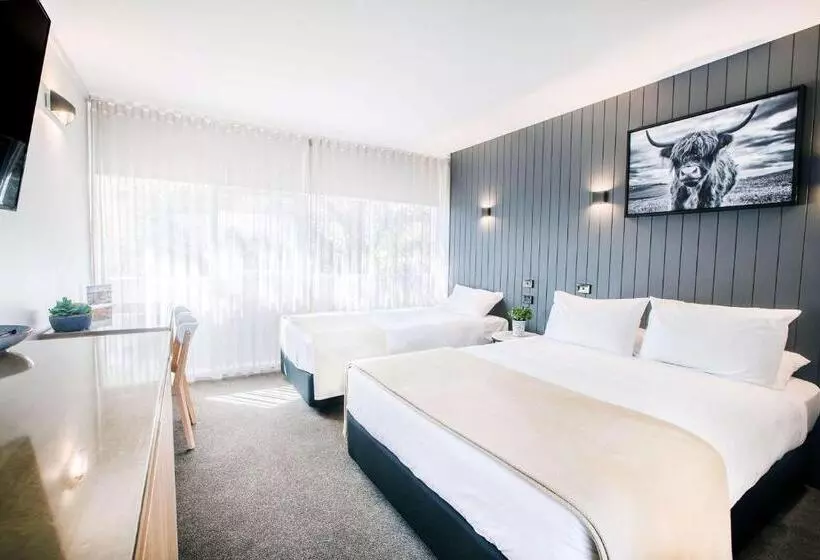 スーペリアールーム, City Centre Motel Armidale
