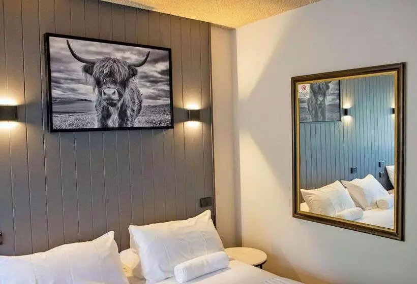 スーペリアールーム, City Centre Motel Armidale