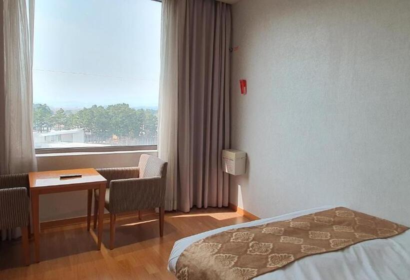 豪华房间, Gyungpo Beach