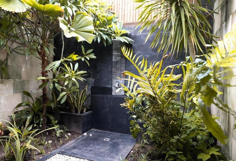 スタンダードルーム, Scallywags Resort