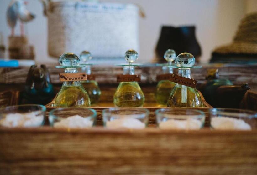 オーシャンビュースタンダードルーム, Scallywags Resort